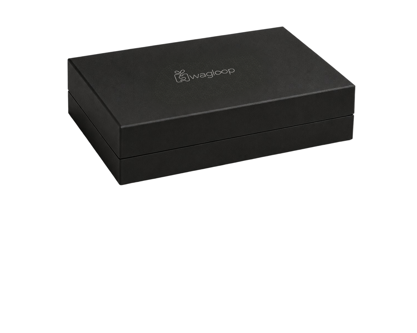 Box With Foam Cavity — image 3
