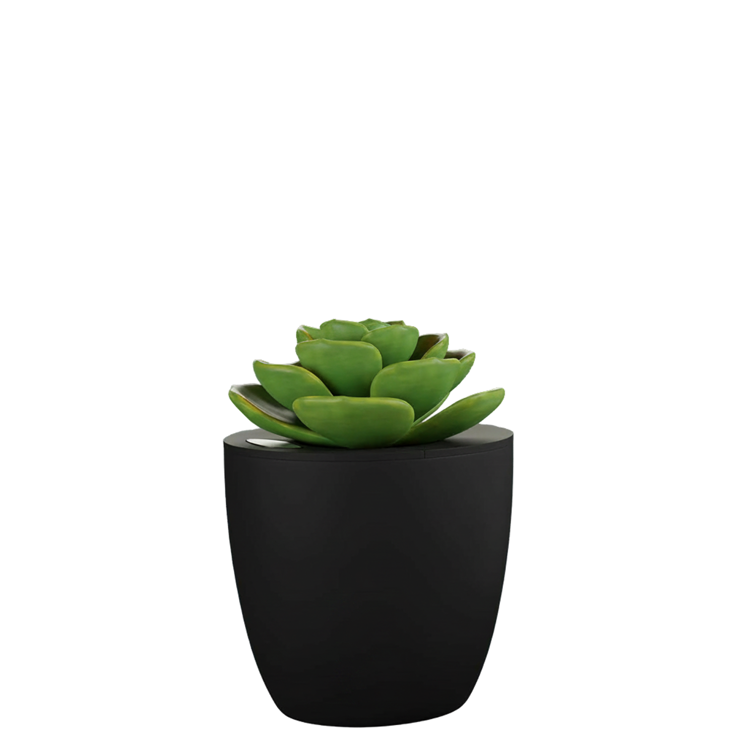 Pen Stand for Study Table with Self-Watering Plant — image 6